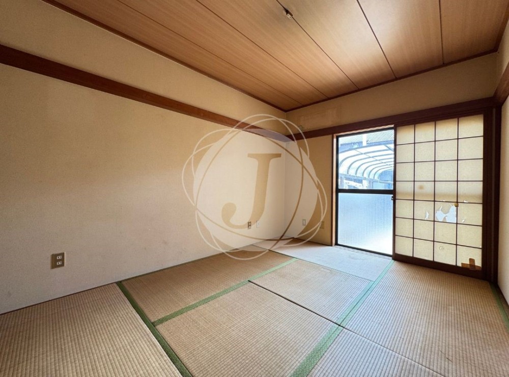 写真4