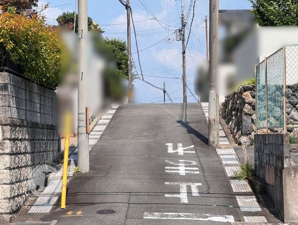 写真2