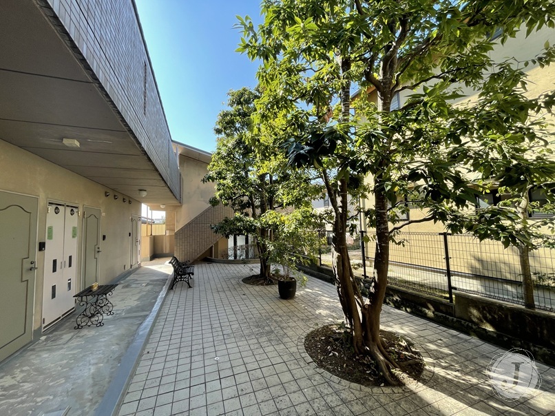 写真1